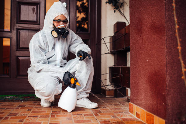 Reliable Cockroach Control contractor in Sedalia, MO by Nex Pest Control